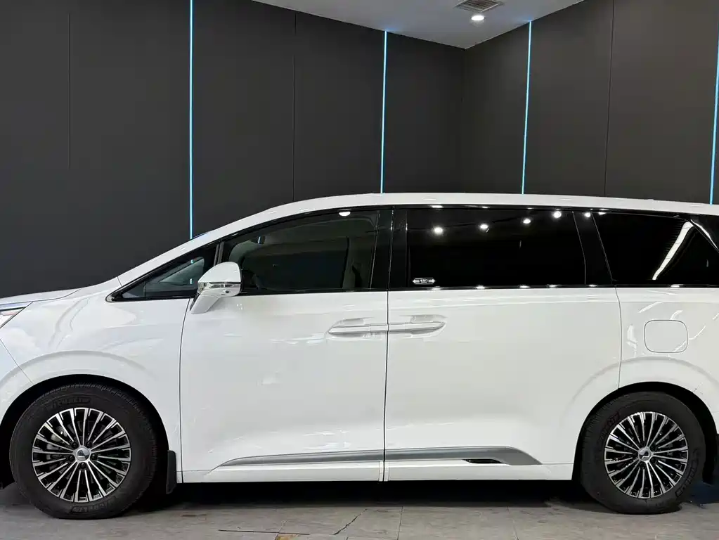 Denza Denza D9 — миниатюра 5