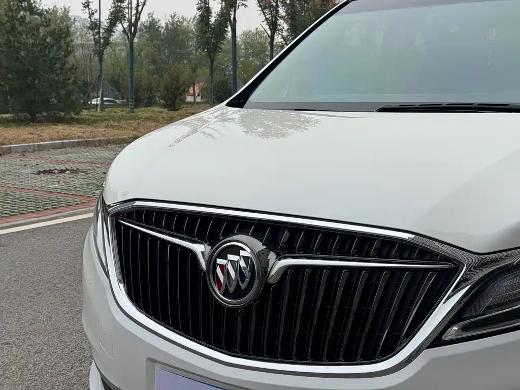 Buick GL8 — миниатюра 9