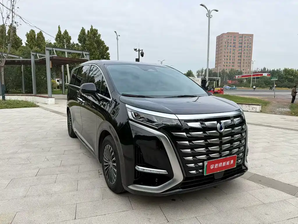 Denza Denza D9 — миниатюра 2