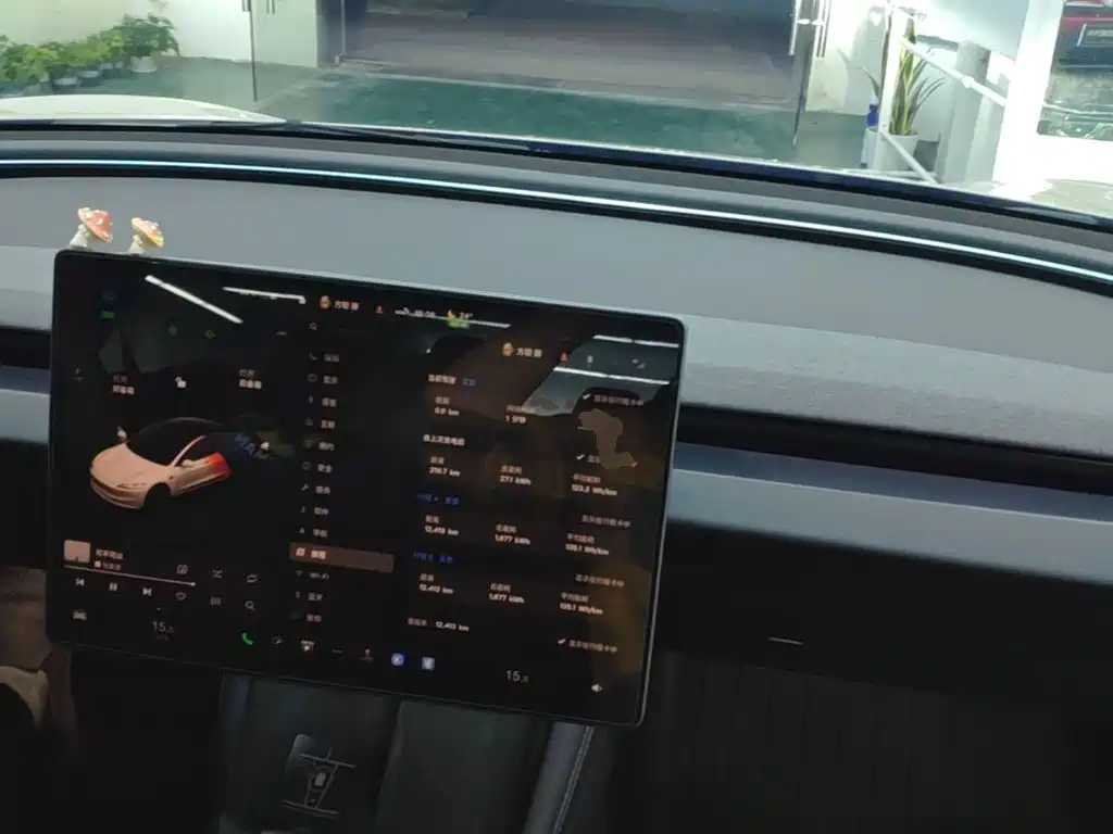 Tesla Model 3 — миниатюра 10