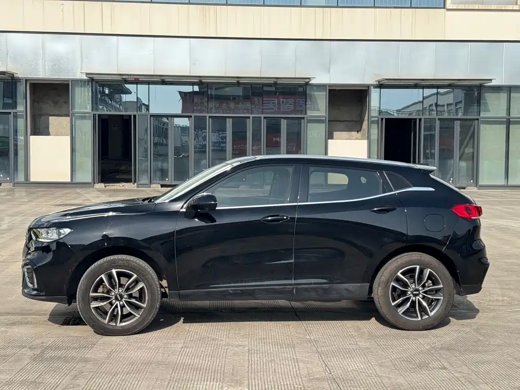 WEI PAI WEI BRAND VV5