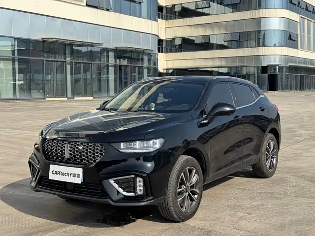 WEI PAI WEI BRAND VV5