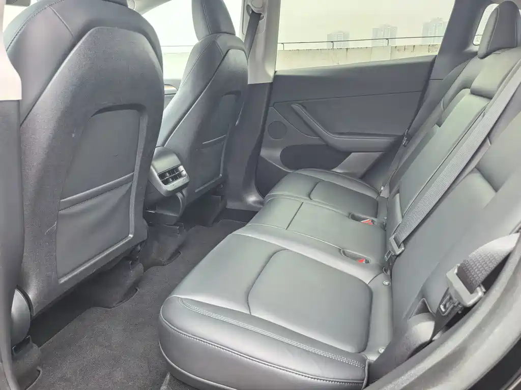 Tesla Model Y — миниатюра 15