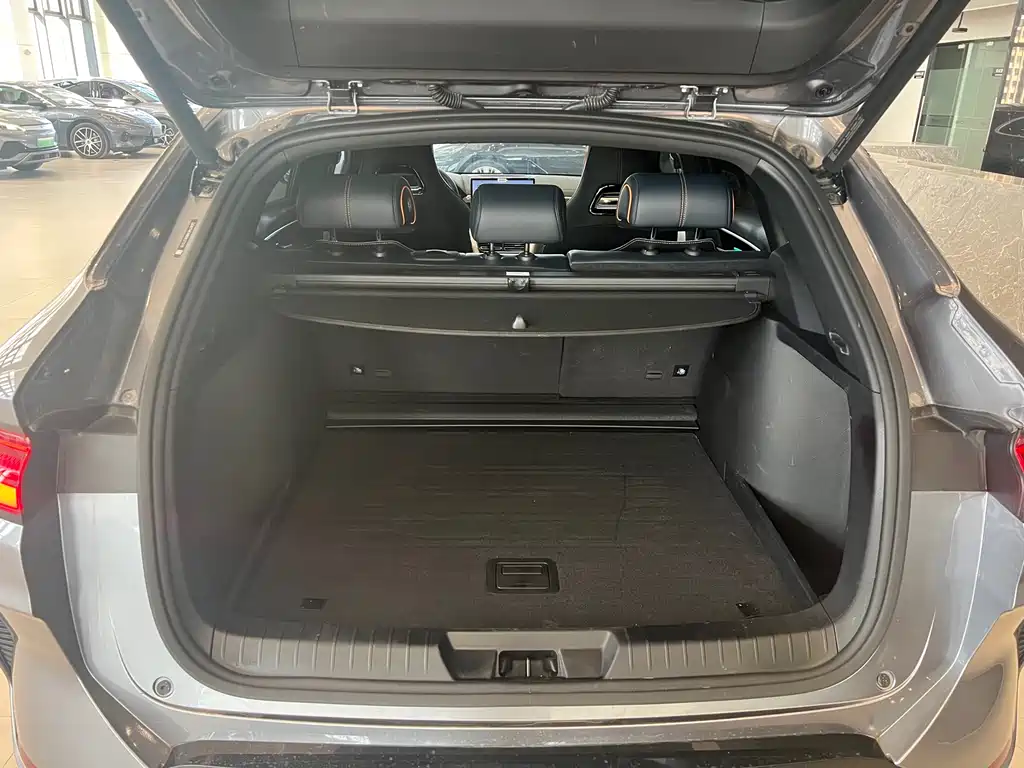 BYD SONGJIANG NEW ENERGY