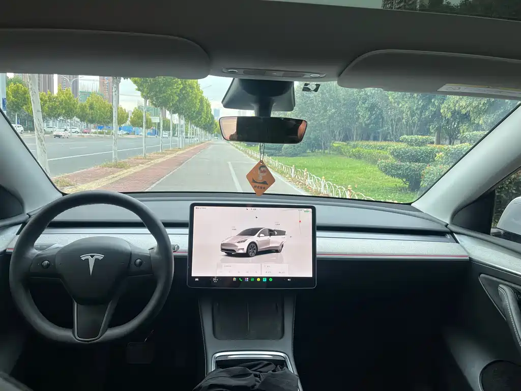 Tesla Model Y — миниатюра 11