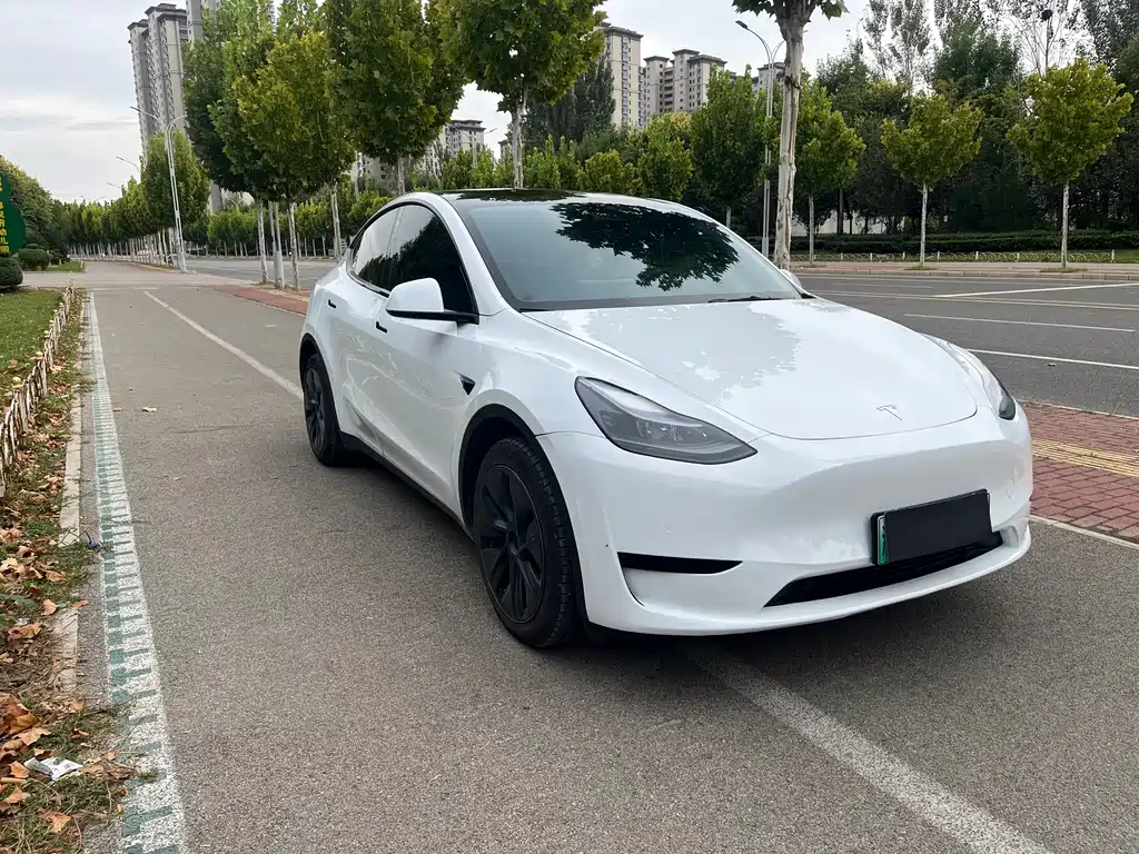 Tesla Model Y — миниатюра 2