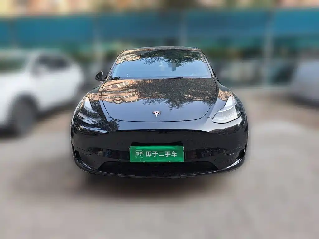 Tesla Model Y — миниатюра 2