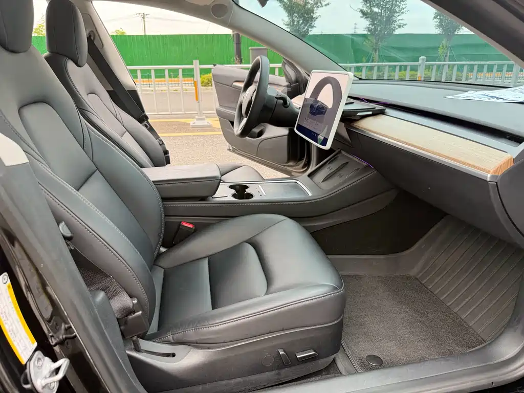 Tesla Model 3 — миниатюра 6