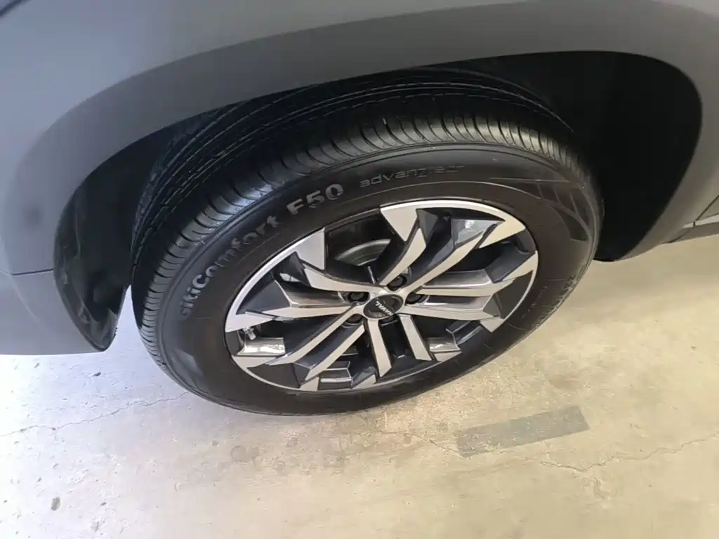 Haval 长城大狗 — миниатюра 23
