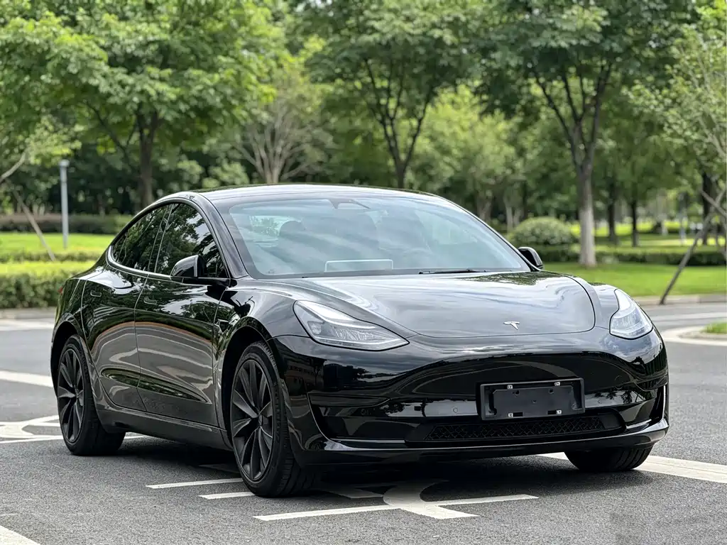 Tesla Model 3 — миниатюра 3