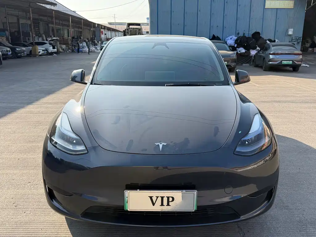 Tesla Model Y — миниатюра 2