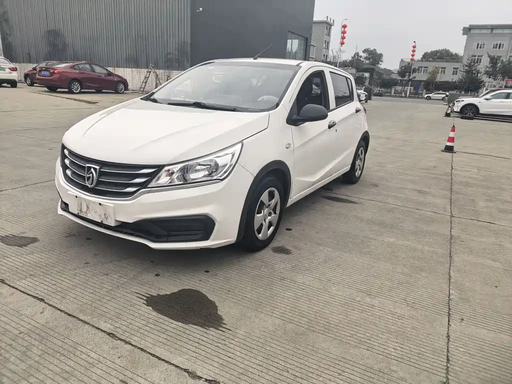 BAOJUN 310