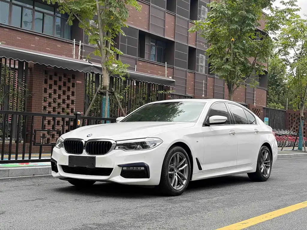 BMW 5 Series (Import)