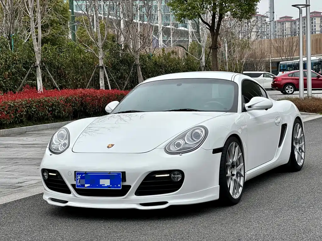 Porsche Cayman 2010