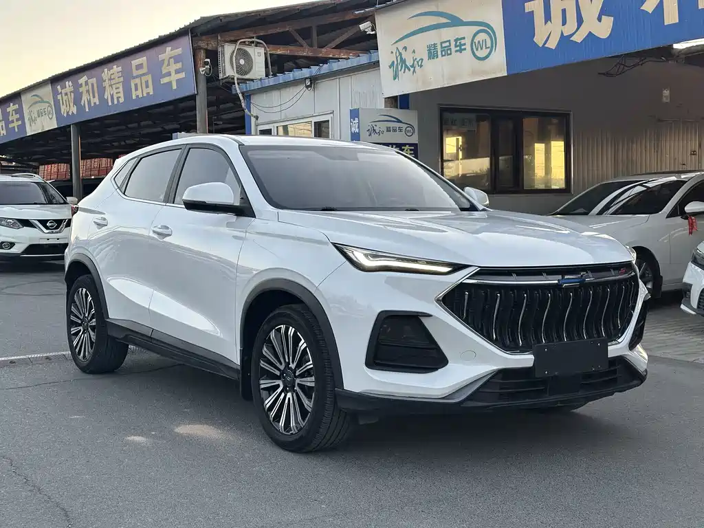 Oshan Oushang X5 — миниатюра 3
