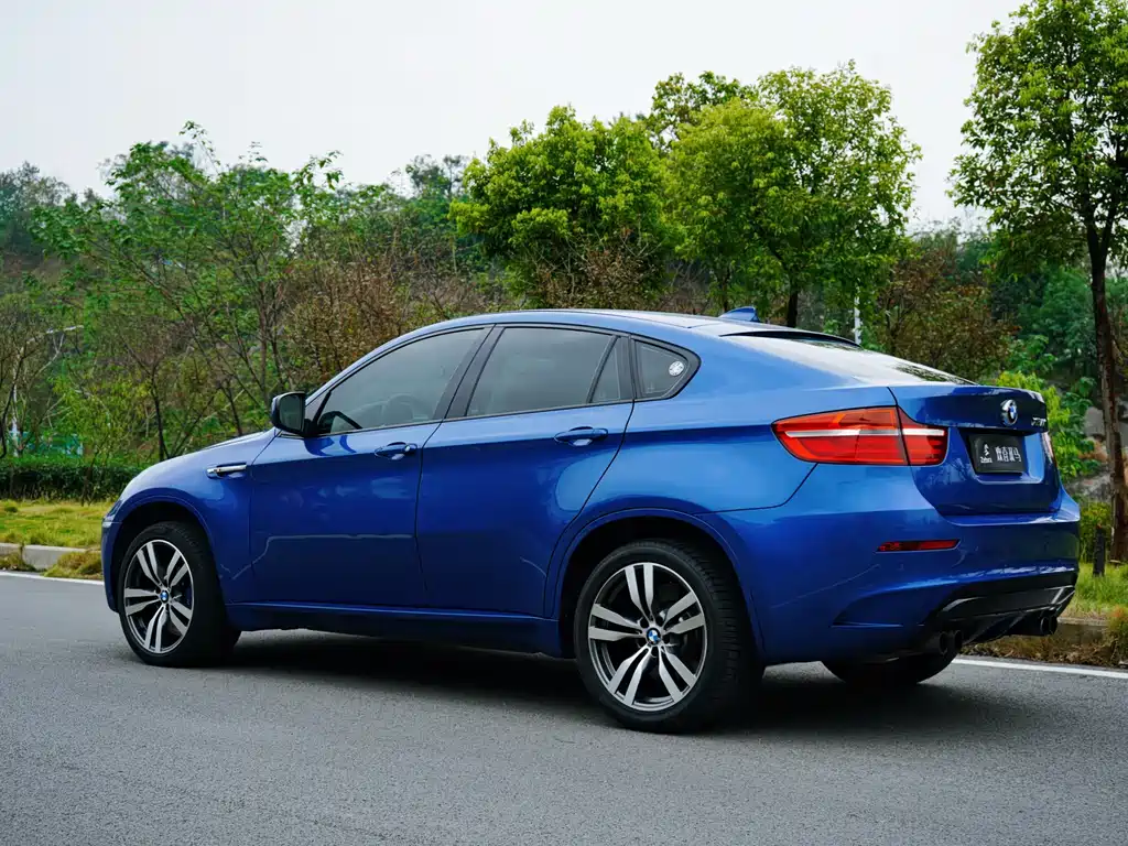 BMW X6 M 2010 X6 M