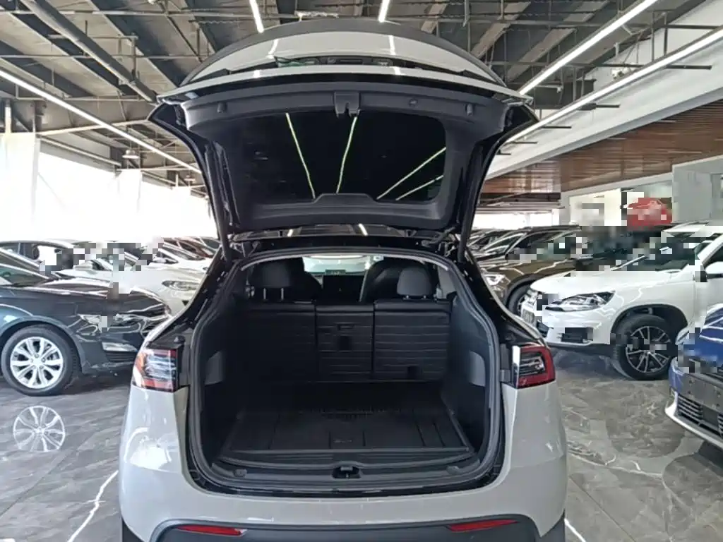 Tesla Model Y — миниатюра 19