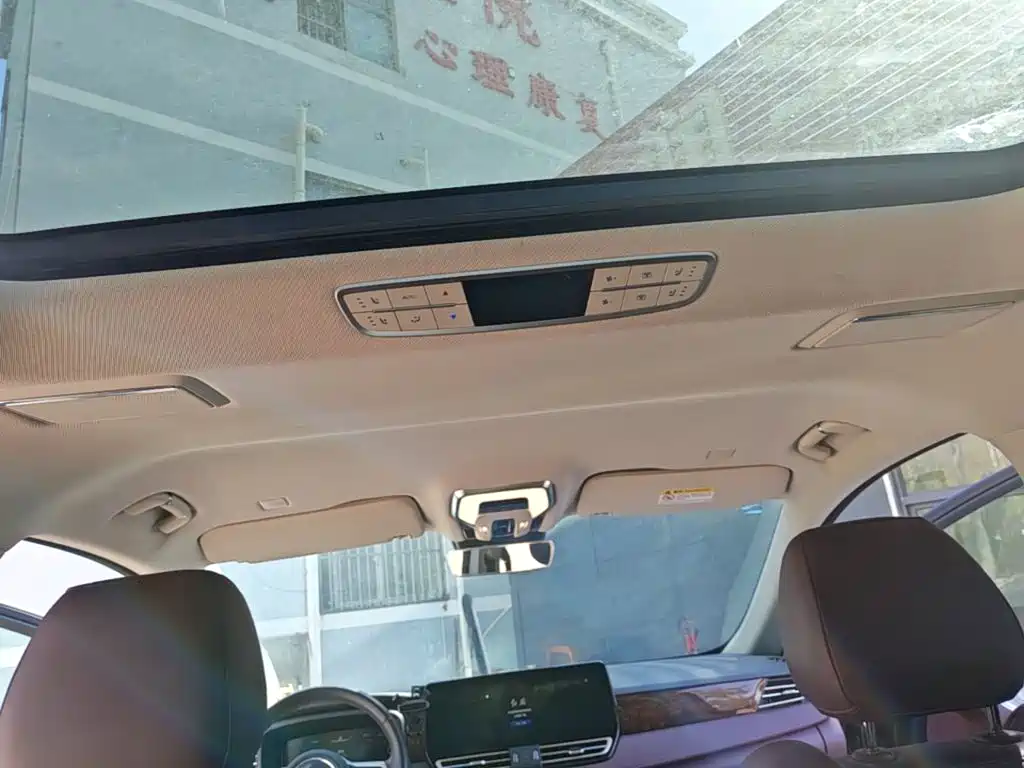 Hongqi Hongqi HQ9 — миниатюра 18