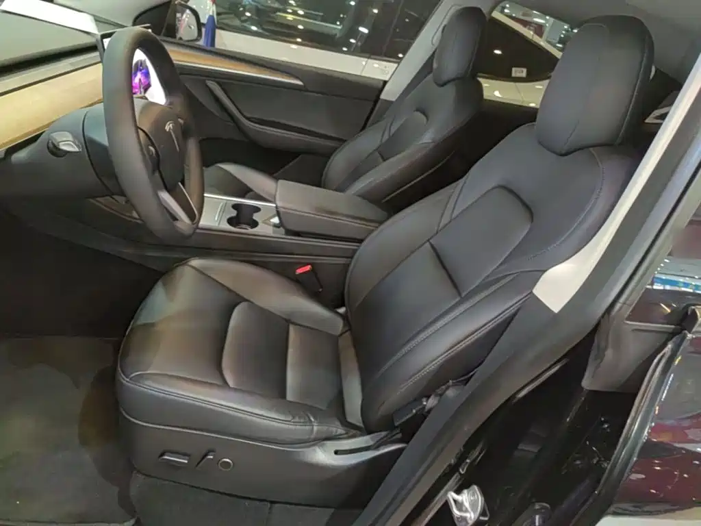 Tesla Model Y — миниатюра 15