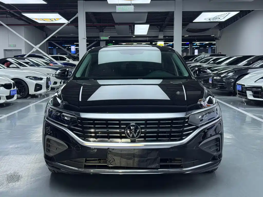 Volkswagen Passat — миниатюра 2