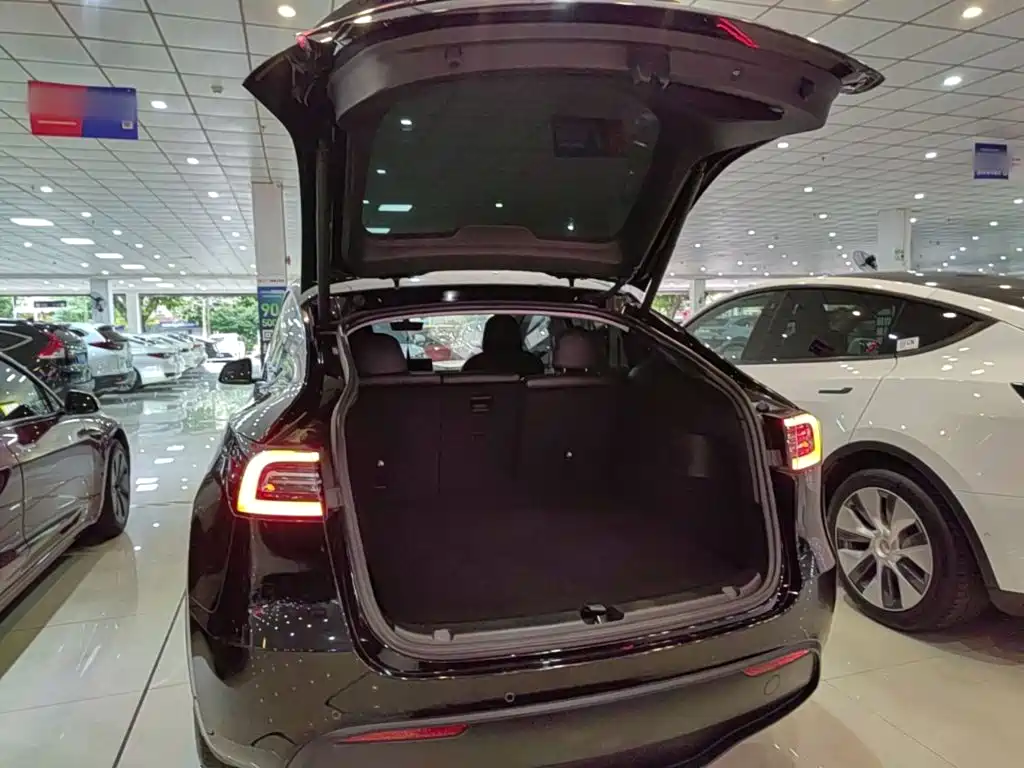 Tesla Model Y — миниатюра 19