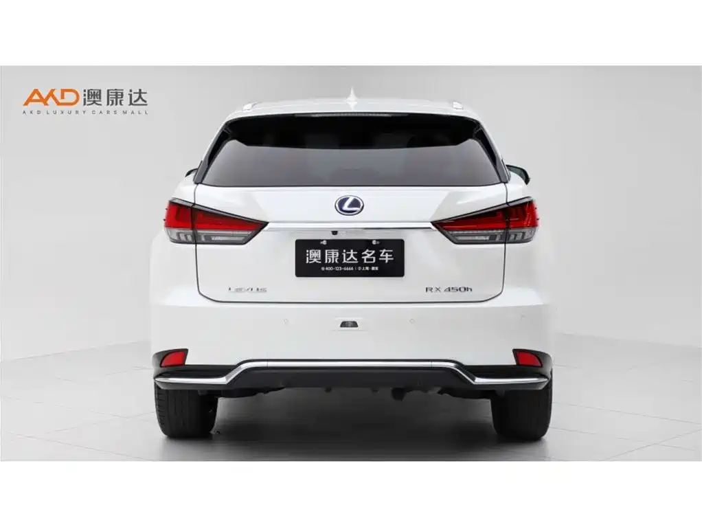 Lexus RX 2020 450h Elegant VI