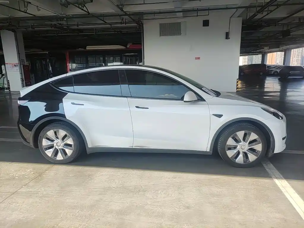 Tesla Model Y — миниатюра 27