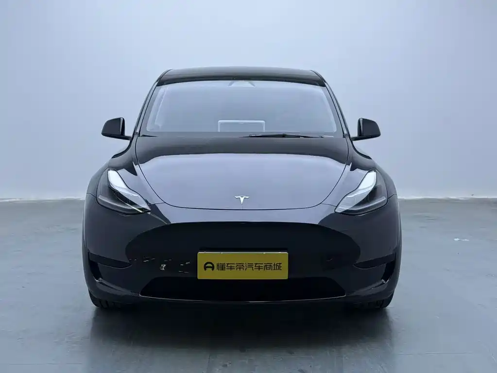 Tesla Model Y — миниатюра 2