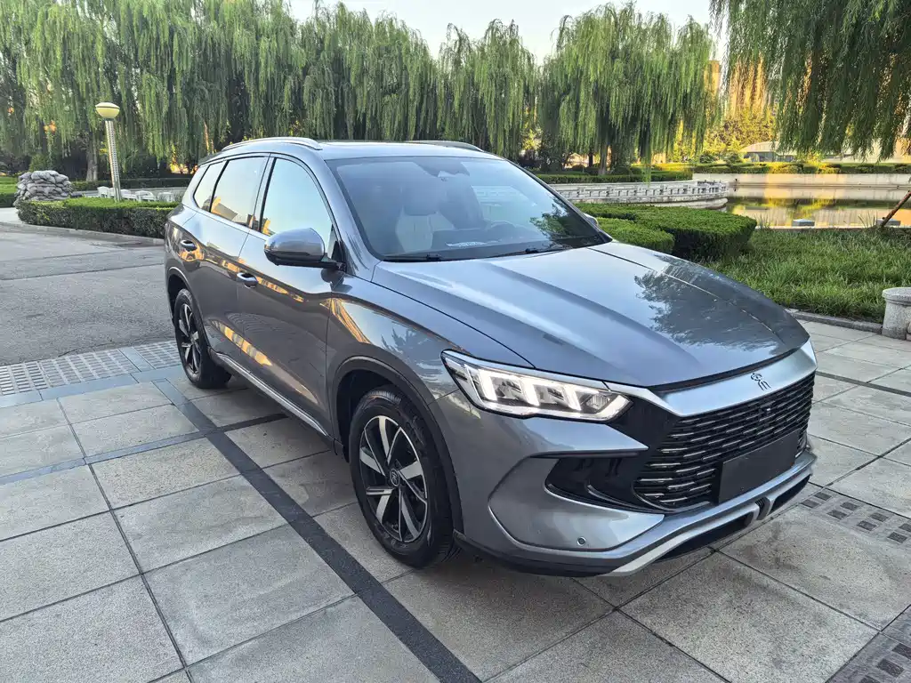BYD Pro New Energy — миниатюра 2