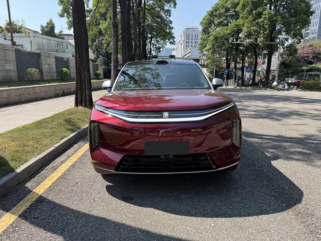 BYD Datang — миниатюра 2