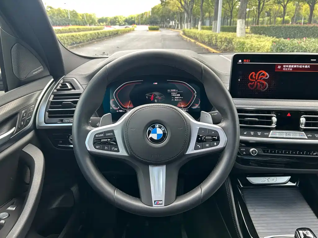 BMW X4 — миниатюра 9