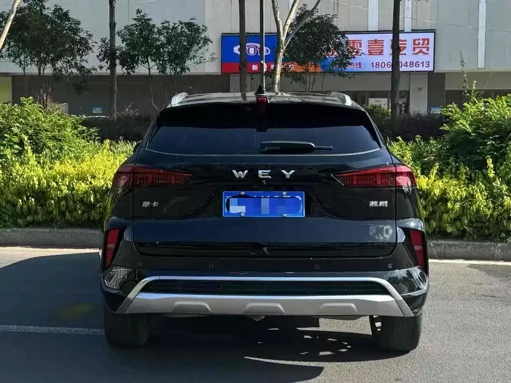 WEI PAI WEI BRAND MOCHA