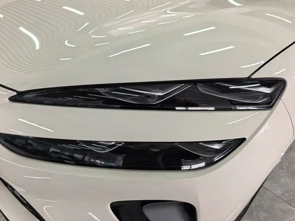 BYD SEA LION 06 NEW ENERGY