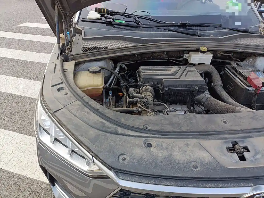 BYD PLUS — миниатюра 20