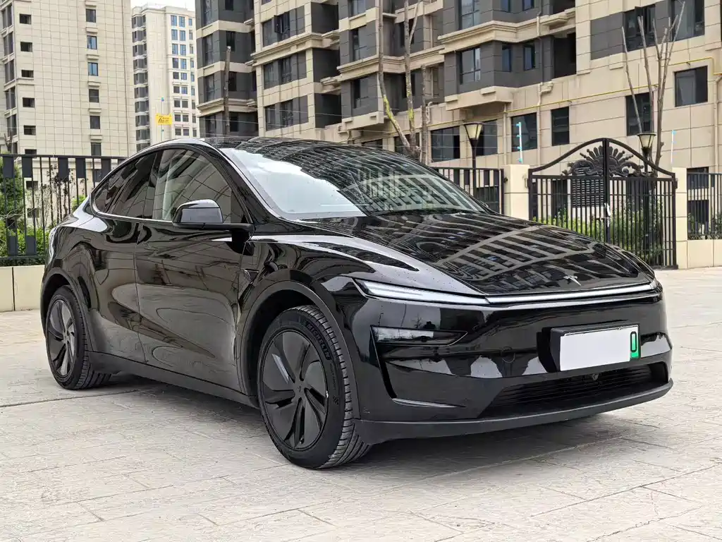Tesla Model Y — миниатюра 3