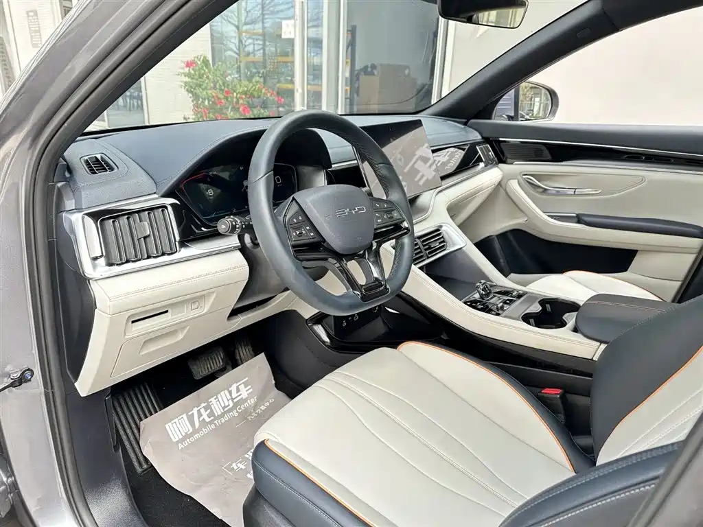 BYD SONGJIANG NEW ENERGY