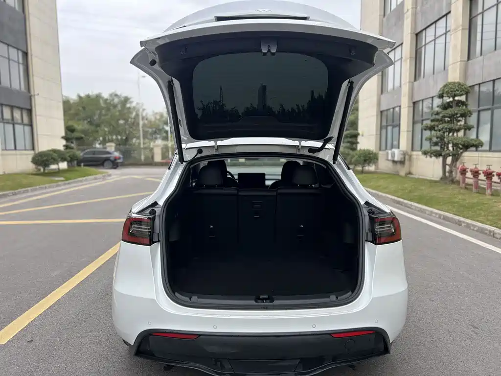 Tesla Model Y — миниатюра 13