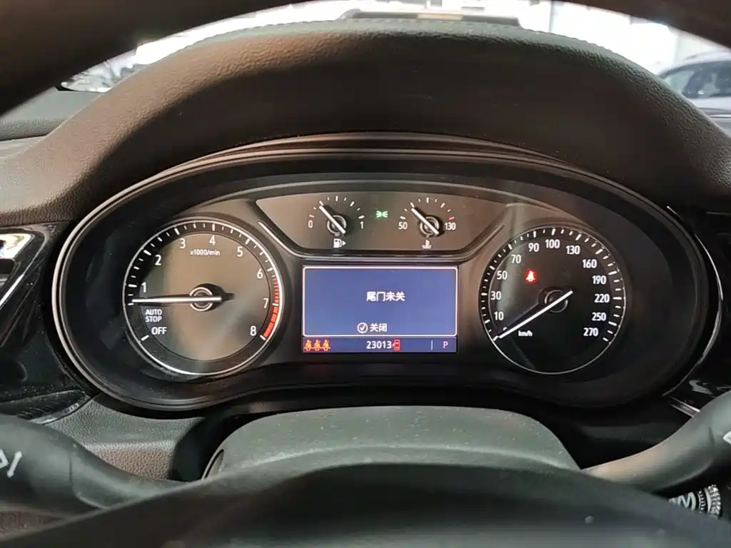 Buick Regal — миниатюра 12
