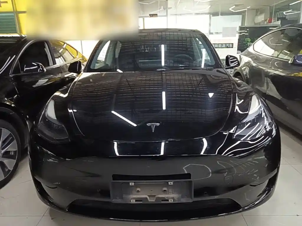 Tesla Model Y — миниатюра 3