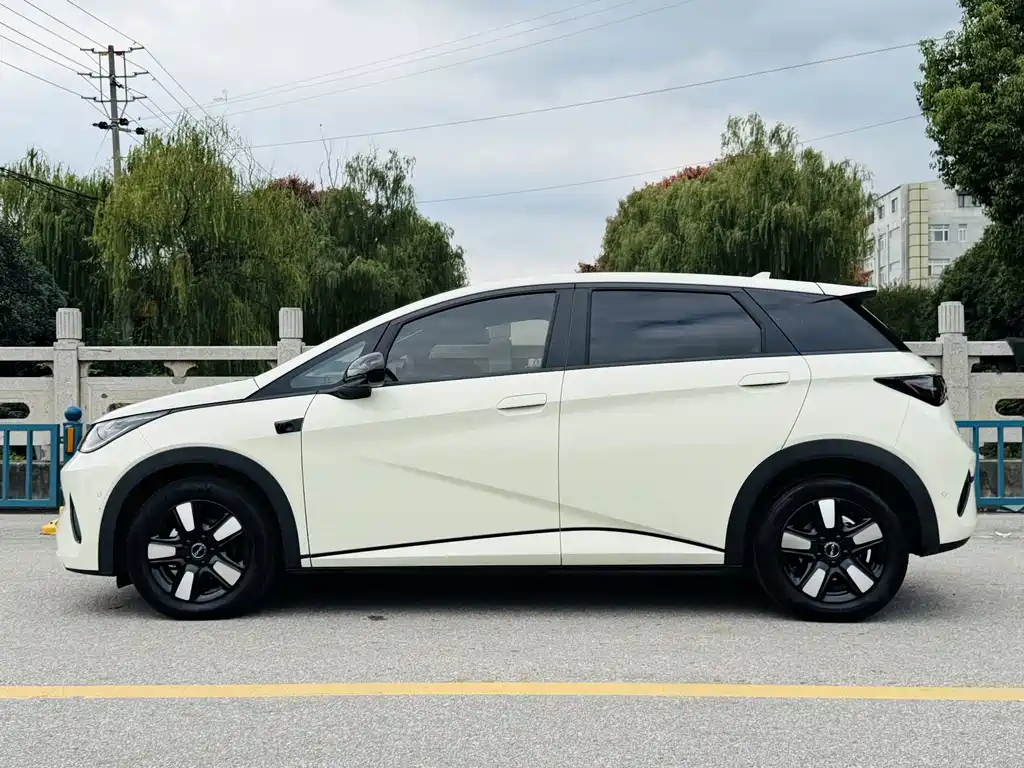 BYD Dolphin — миниатюра 5
