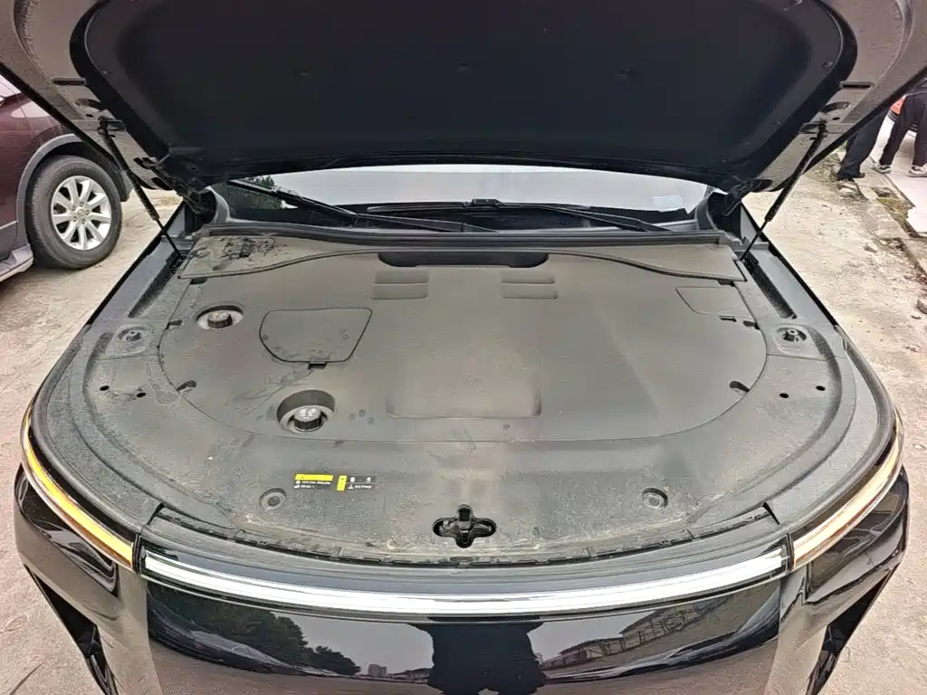 GAC Motor Trumpchi Xiangwang S9 — миниатюра 20