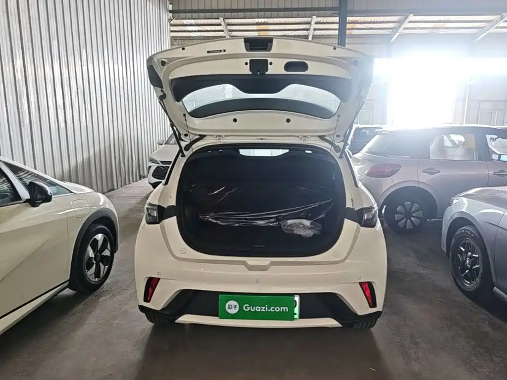 BYD Dolphin — миниатюра 19