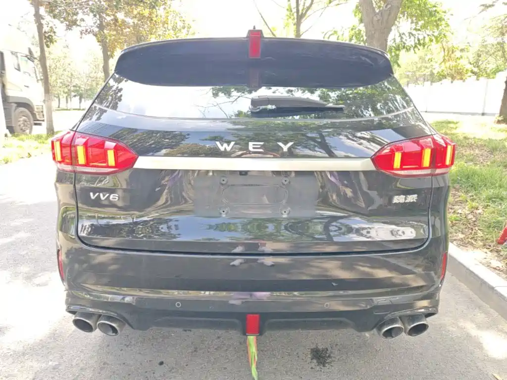 Wey Wey VV6 — миниатюра 6