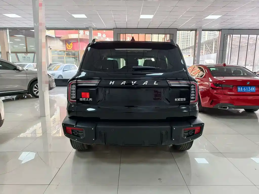 HAVAL BIG DOG