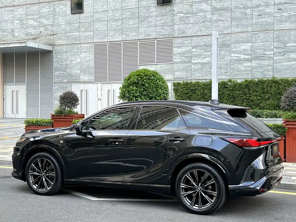 Lexus RX — миниатюра 4