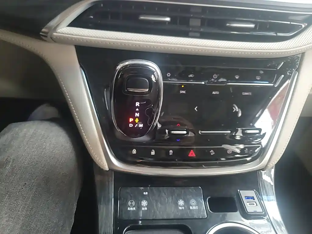Buick GL8 — миниатюра 14