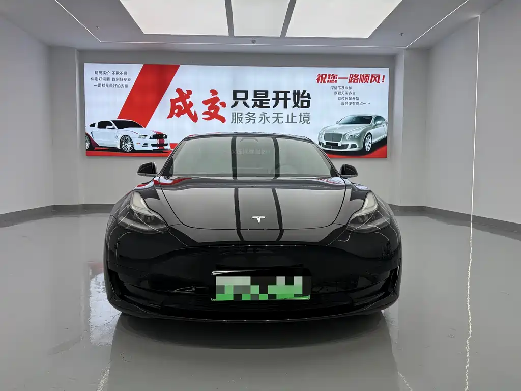 Tesla Model 3 — миниатюра 2