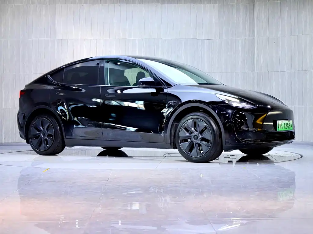 Tesla Model Y — миниатюра 3