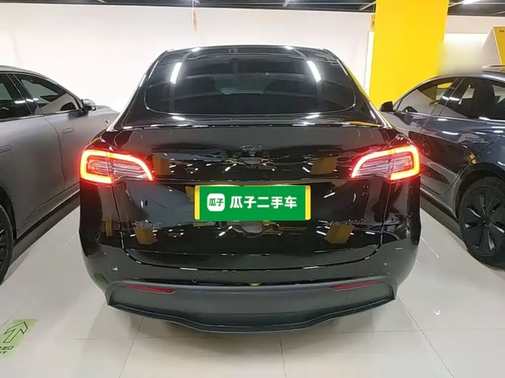 Tesla Model Y — миниатюра 6