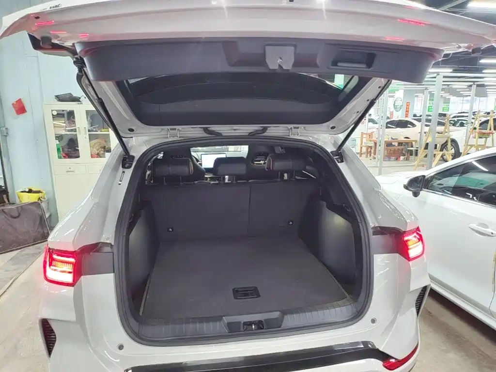 BYD PLUS New Energy — миниатюра 19